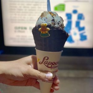 Meet your Posher, Romy